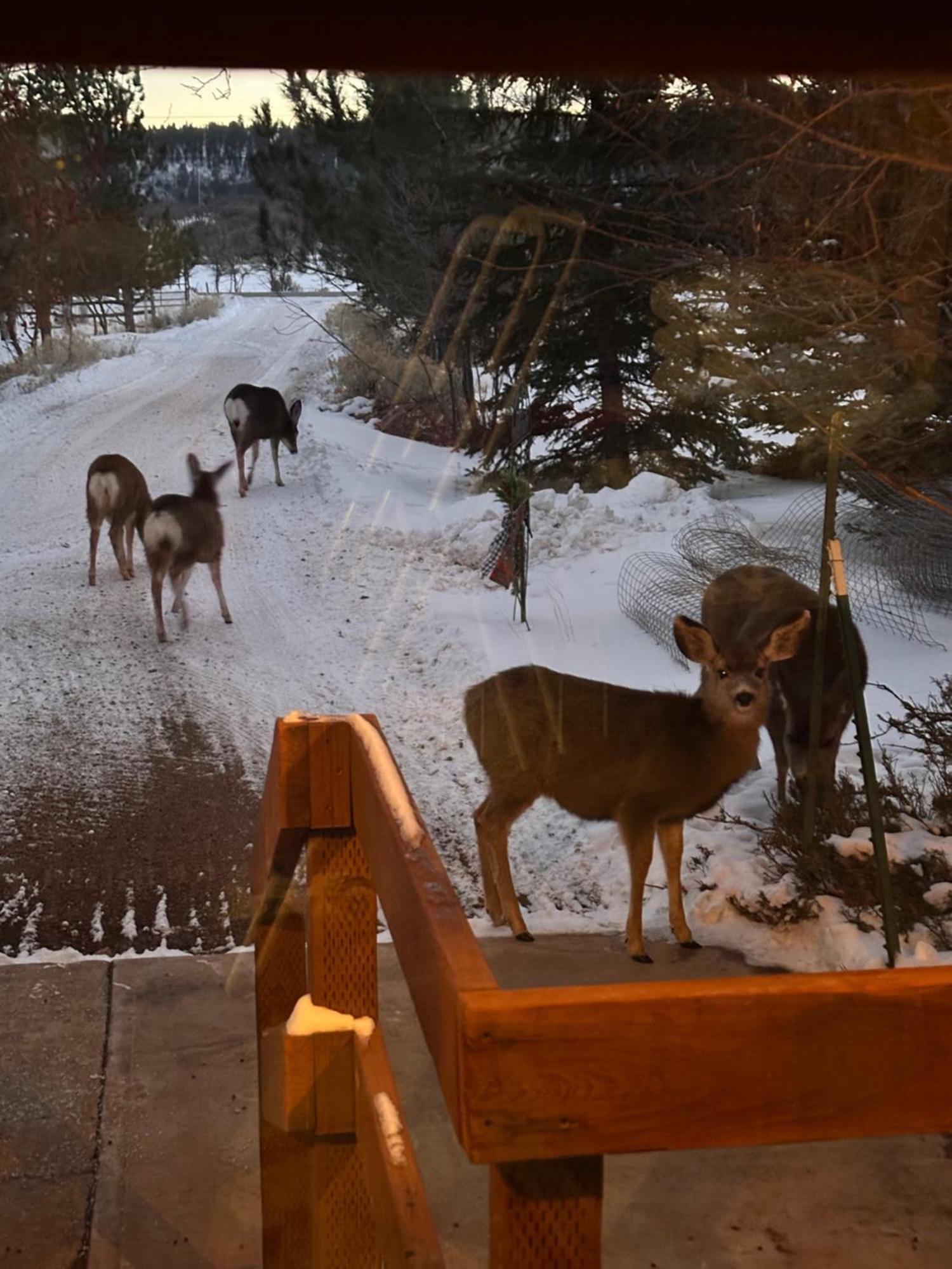 Mount Peale Country Inn La Sal エクステリア 写真