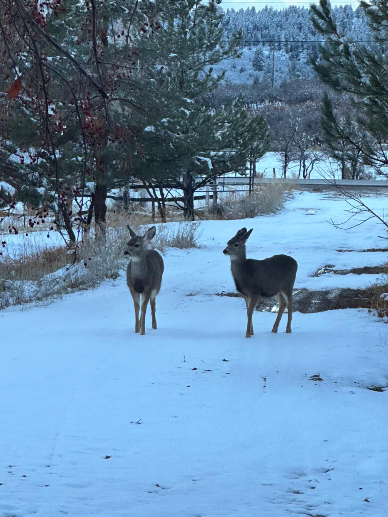 Mount Peale Country Inn La Sal エクステリア 写真